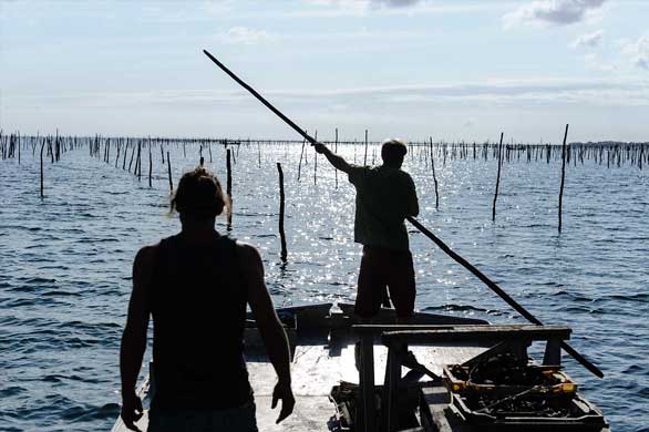 création graphique print signalétique panneaux immobiliers plaquette commerciale dépliant cartes de visite flyers calendrier grand format roll-up enseigne vitrophanie adhésif micro-perforé covering véhicule / covering voiture panneau de fin de chantier goodies personnalisés signature mail photographie